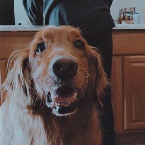 Meet your Posher, Milena